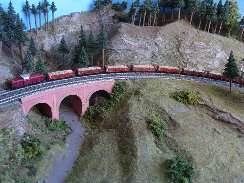 Rüben 2016 Bild 007